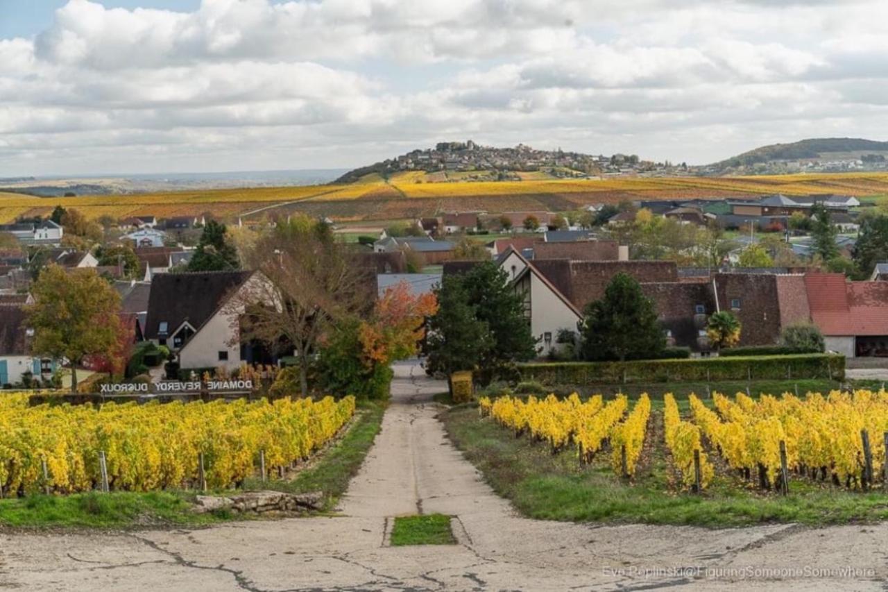 Вилла Le Logis St Pere Сансер Экстерьер фото